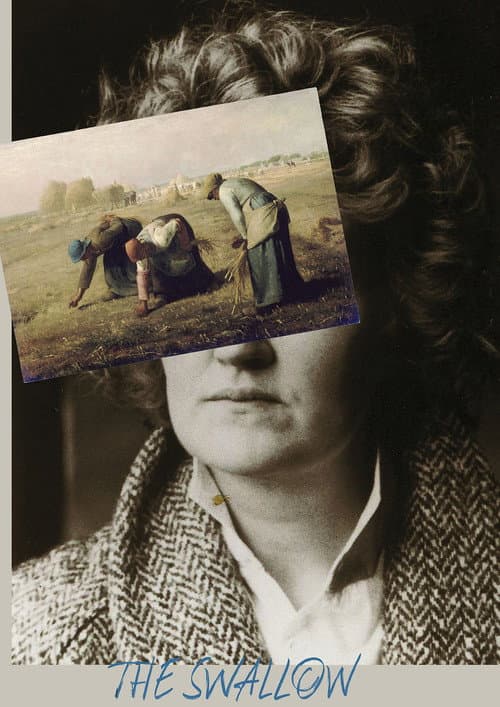The Swallow (2024) poster