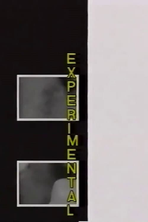 Experimental (1993) poster