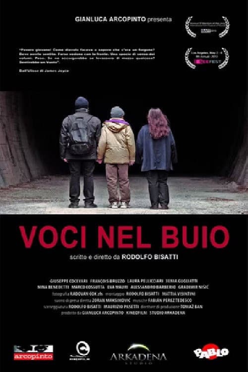 Voci nel buio (2013) poster