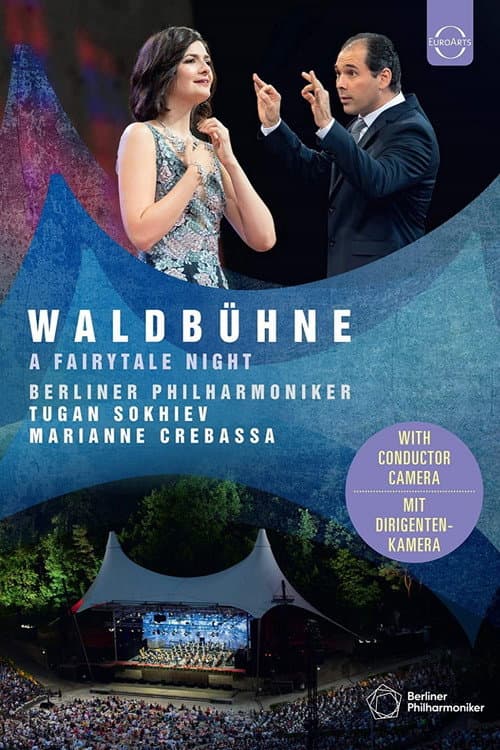 Waldbühne 2019: A Fairytale Night (2019) poster