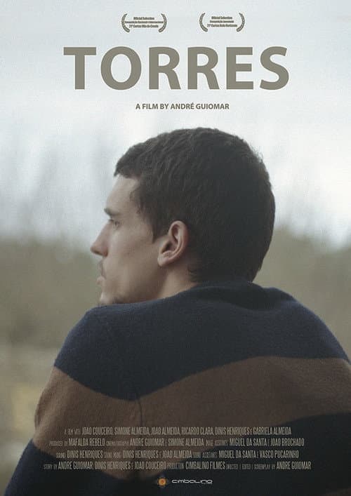 Torres (2013) poster