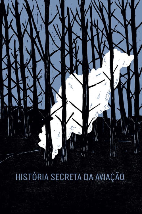 História Secreta da Aviação (2018) poster