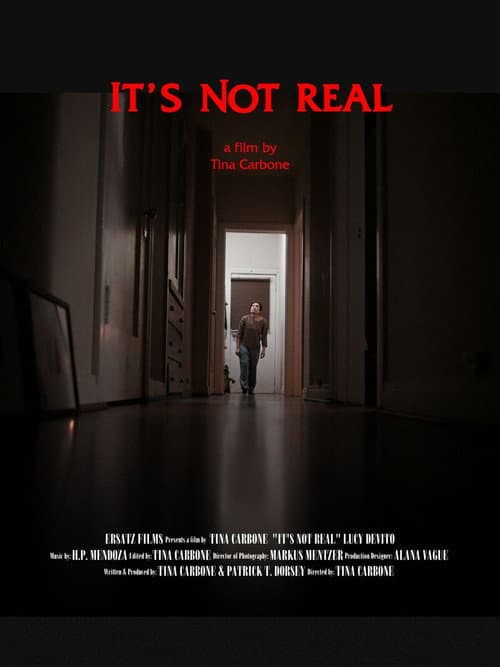 It's Not Real (2023) poster