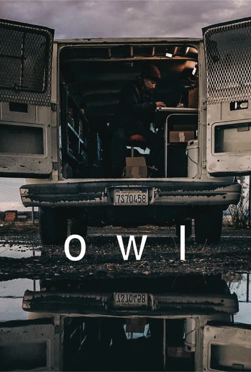 Owl (2024) poster