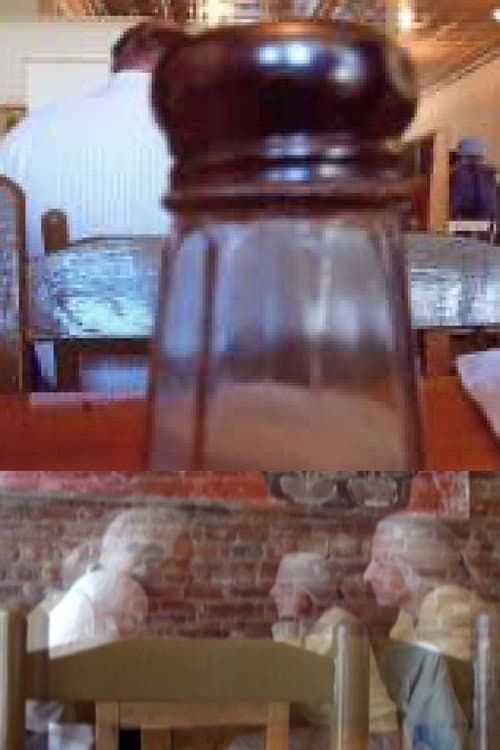 THE SALT SHAKER AND THE MOON (2009) poster