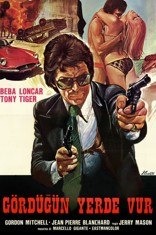 La polizia ordina: Sparate a vista (1976) poster