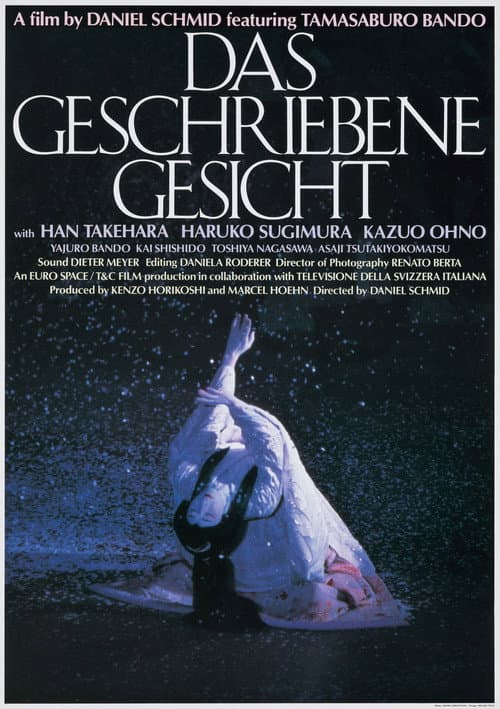 Das geschriebene Gesicht (1995) poster