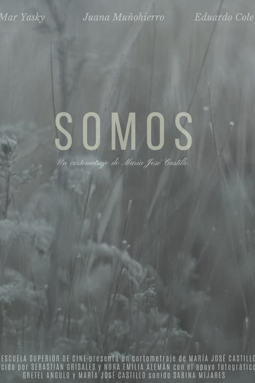 Somos (2020) poster