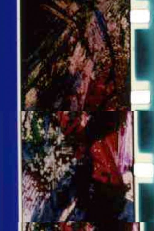 Shockingly Hot (1996) poster
