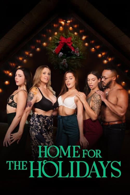 Home for the Holidays (2022) poster