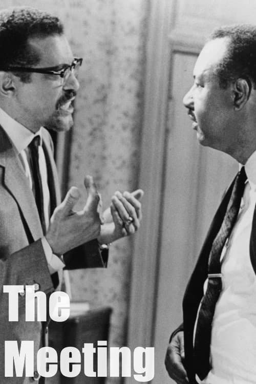 The Meeting (1989) poster