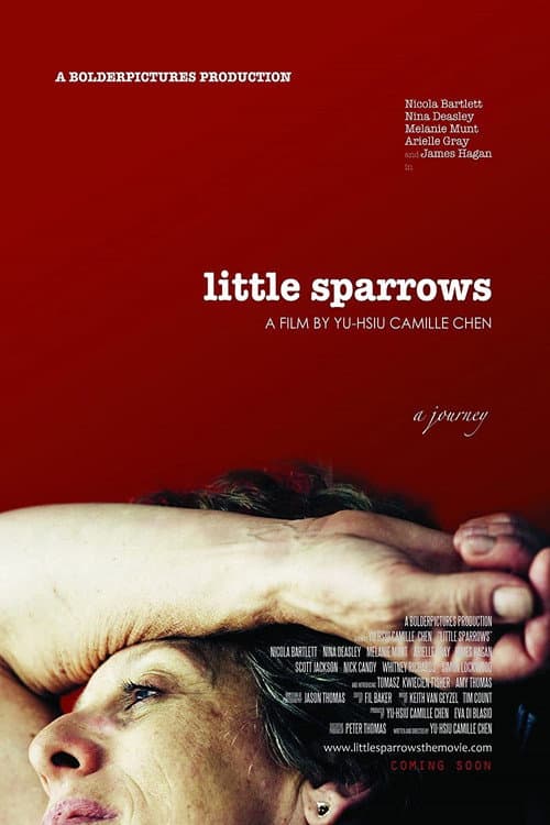 Little Sparrows (2010) poster