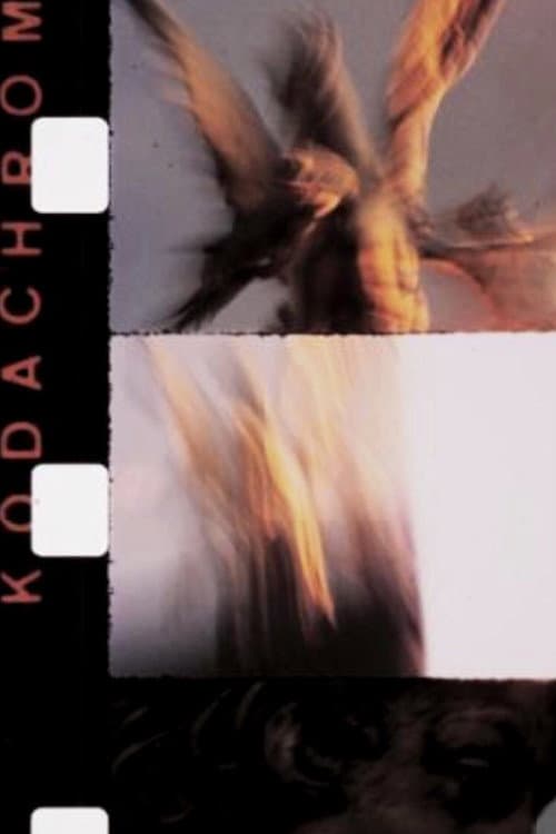 Novembre (1989) poster