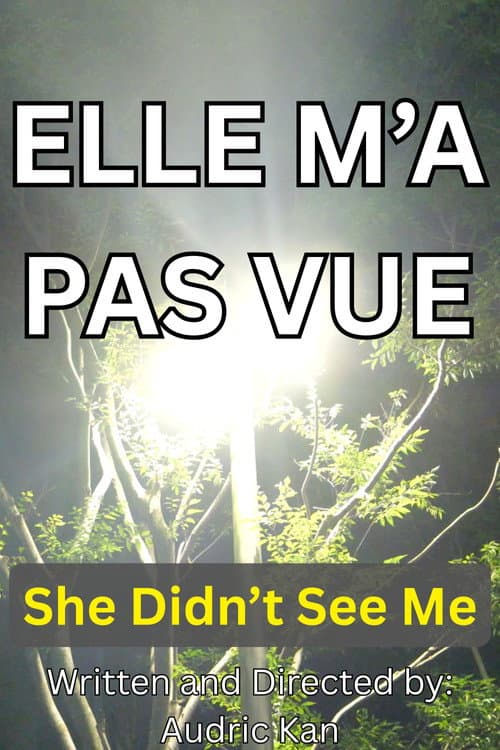 Elle M'a Pas Vue (2026) poster