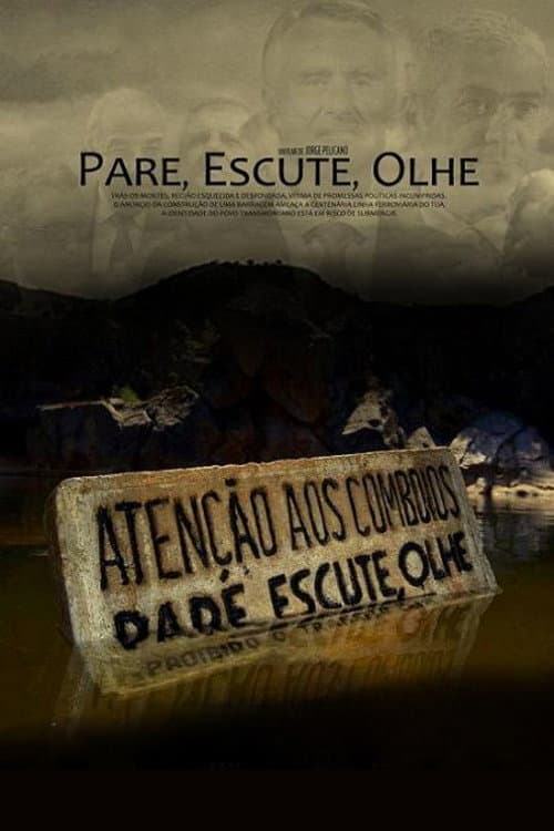 Pare, Escute, Olhe (2009) poster