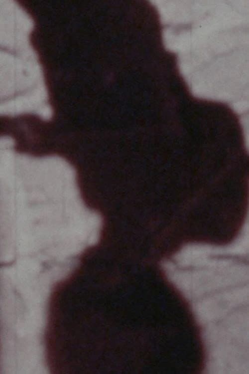 Señales de vida (1979) poster