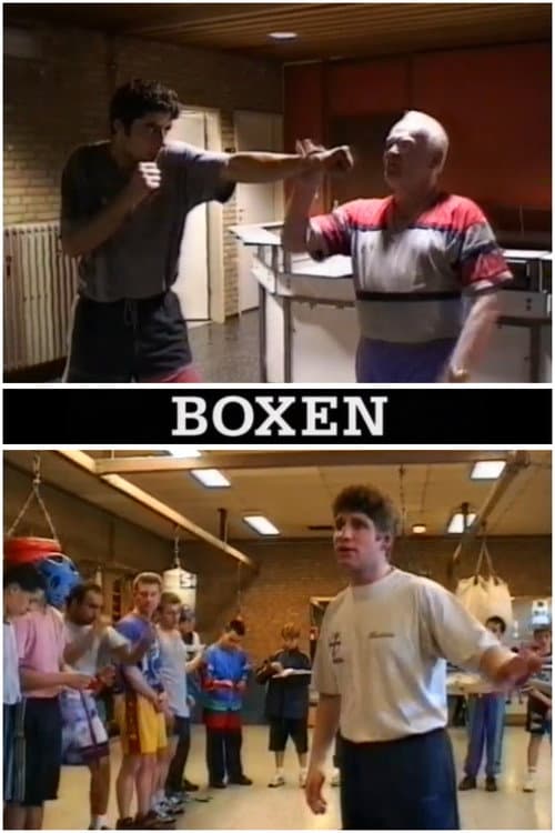 Boxen (1994) poster
