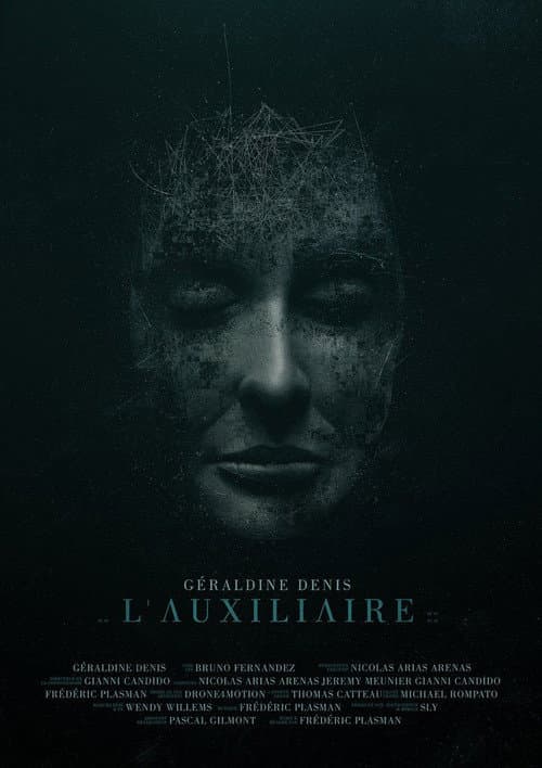 L'auxiliaire (2018) poster