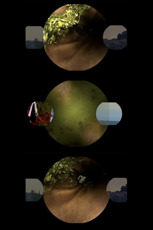 Un gif larguísimo (2022) poster