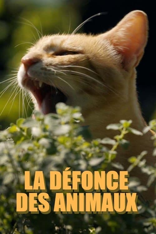 La défonce des animaux (2025) poster