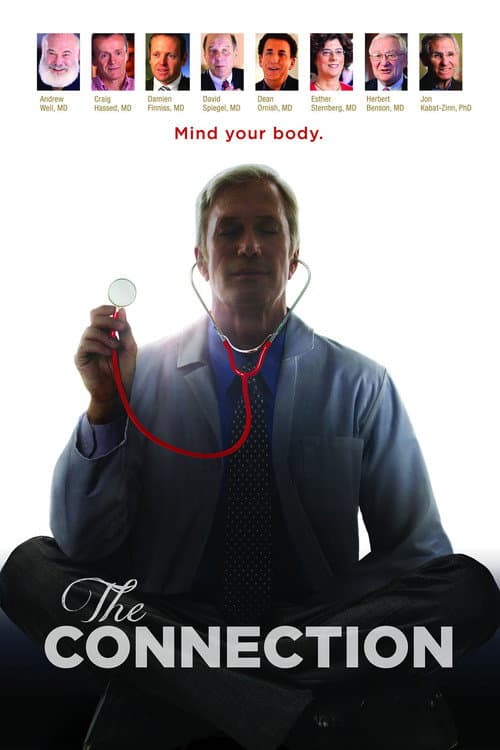 The Connection (2014) poster