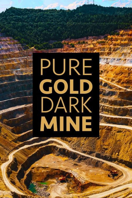 Pure Gold, Dark Mine (2022) poster