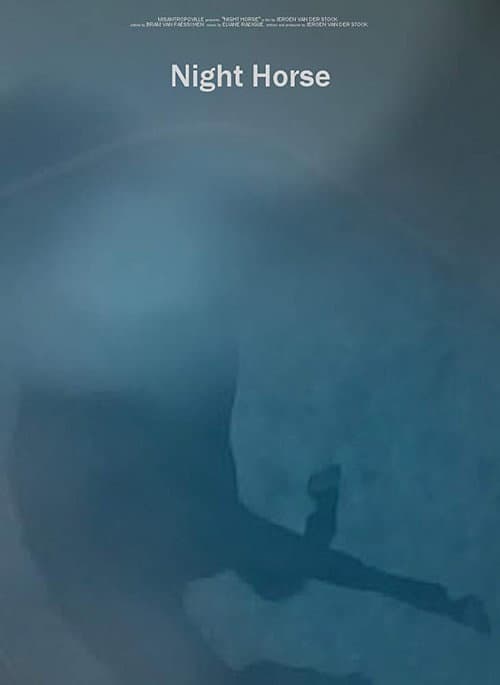 Night Horse (2019) poster