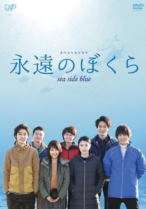 永遠のぼくら sea side blue (2015) poster