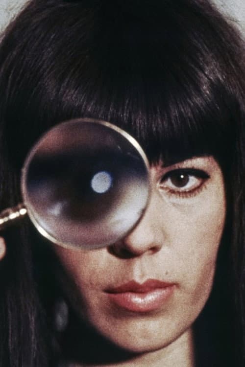 Das Portrait (1966) poster