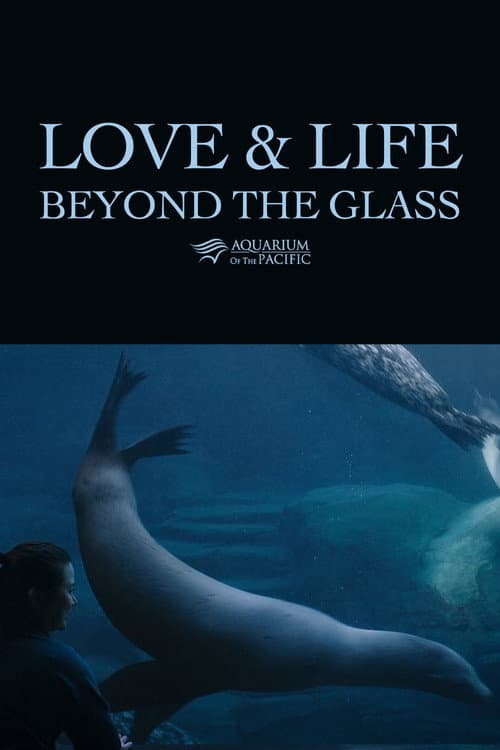 Love & Life Beyond the Glass (2024) poster