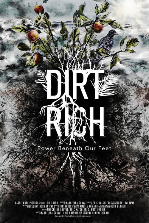 Dirt Rich (2018) poster