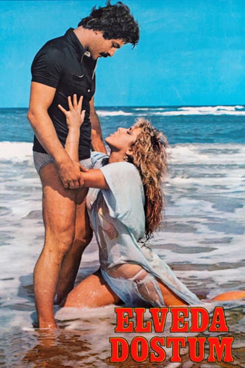 Elveda Dostum (1982) poster