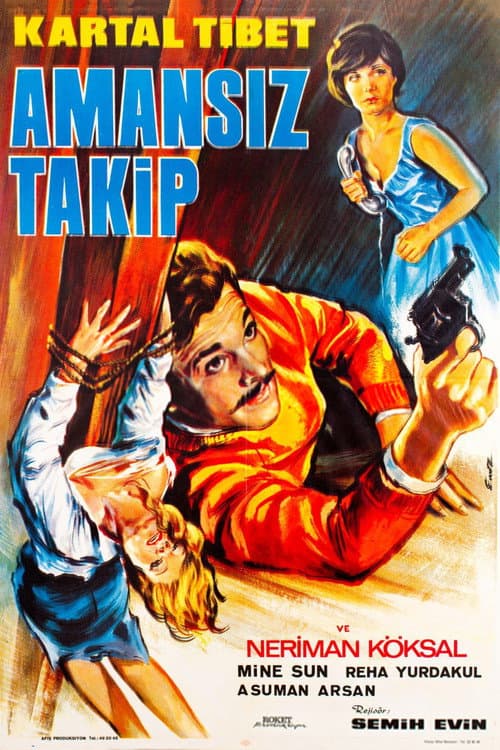Amansız Takip (1967) poster