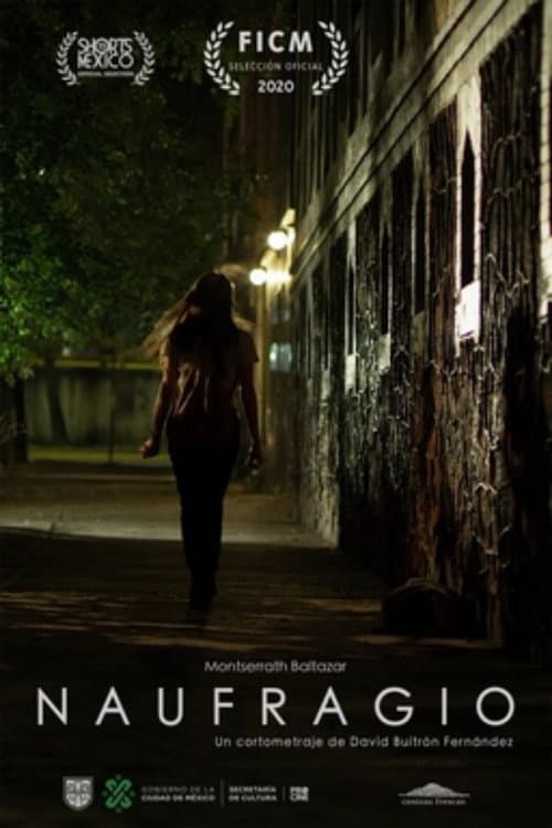 Naufragio (2020) poster
