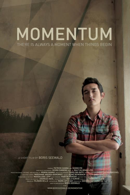 Momentum (2013) poster