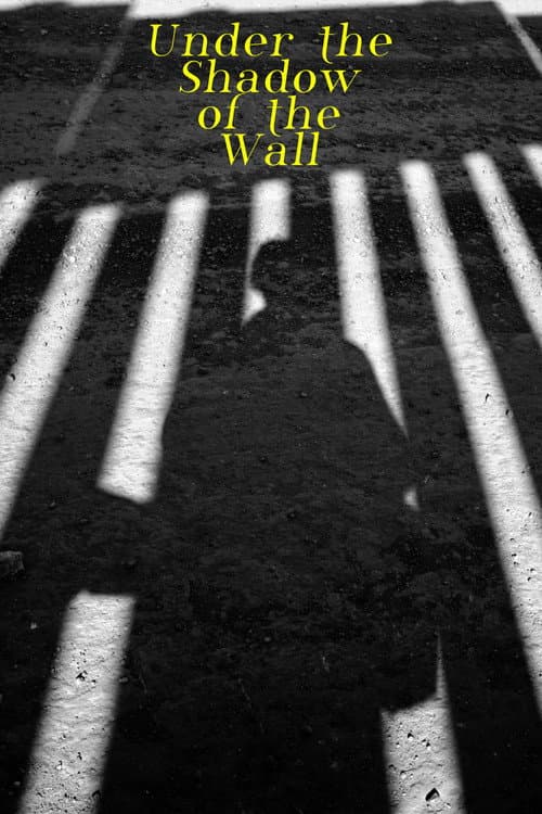 Under the Shadow of the Wall (2022) poster