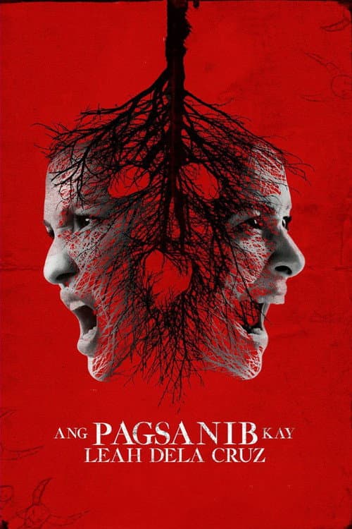 Ang Pagsanib kay Leah Dela Cruz (2017) poster