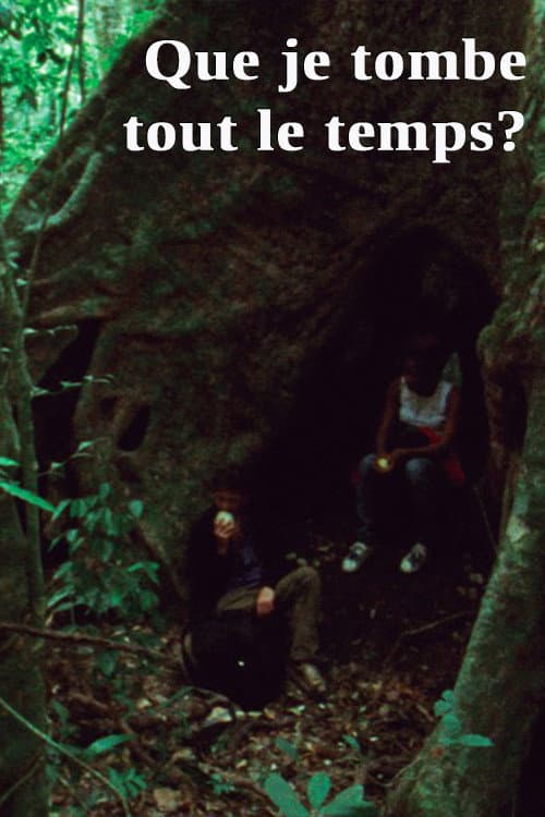 Que je tombe tout le temps? (2013) poster