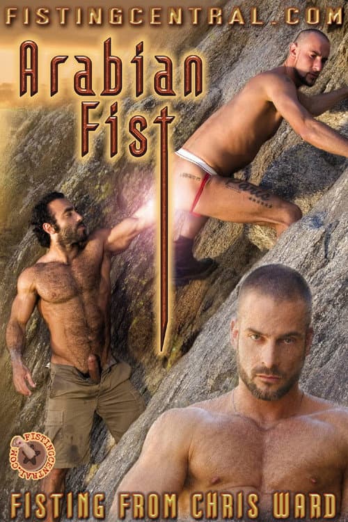 Fistpack 11: Arabian Fist (2007) poster