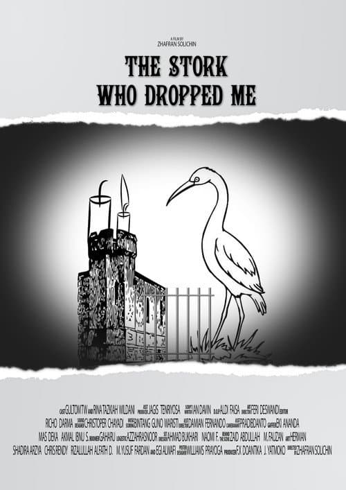 The Stork Who Dropped Me (2016) poster