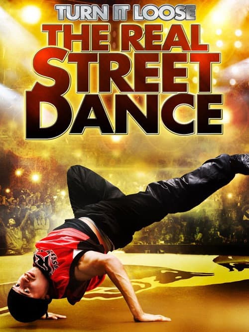 Turn it loose (2009) poster