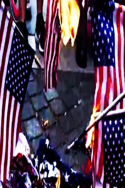 Naughty America: Guns & Stripes (2025) poster