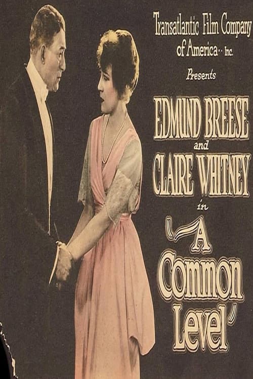 A Common Level (1920) poster