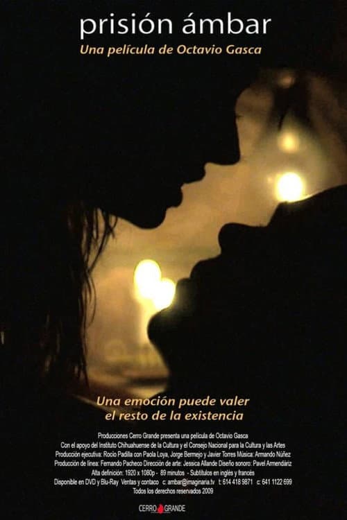 Prisión ámbar (2009) poster