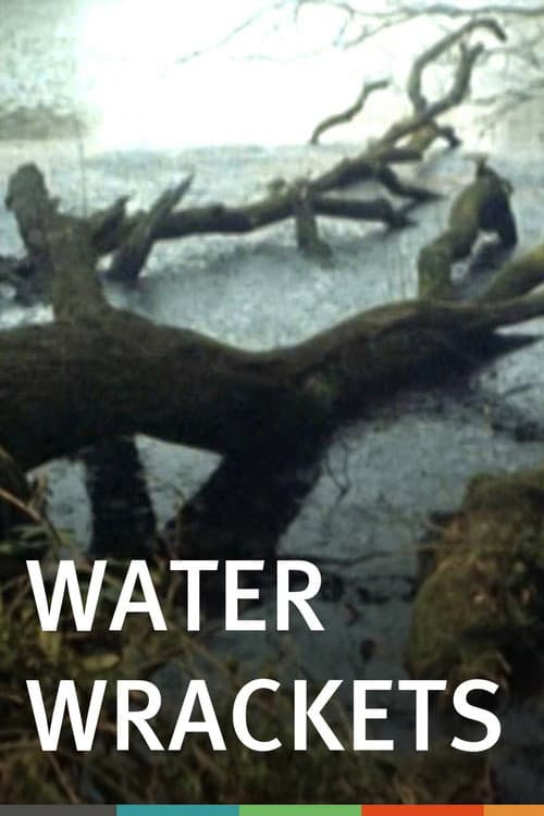 Water Wrackets (1978) poster