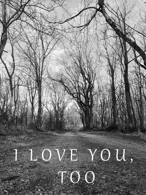 I Love You, Too (2022) poster