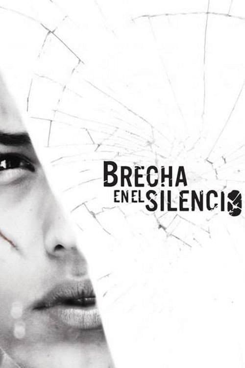 Brecha en el Silencio (2013) poster