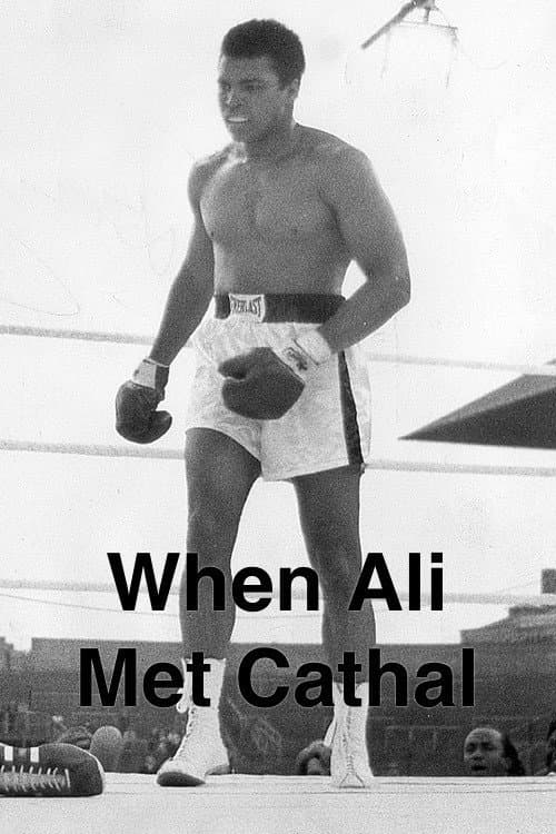 When Ali Met Cathal (2009) poster