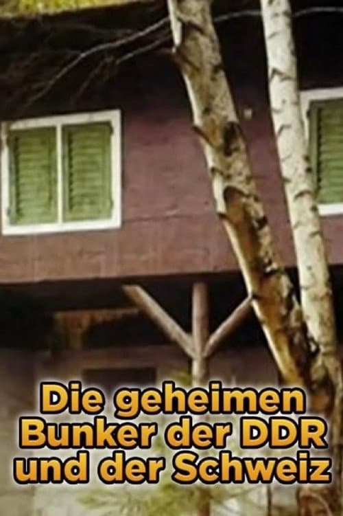 Die geheimen Bunker der DDR und der Schweiz (2013) poster