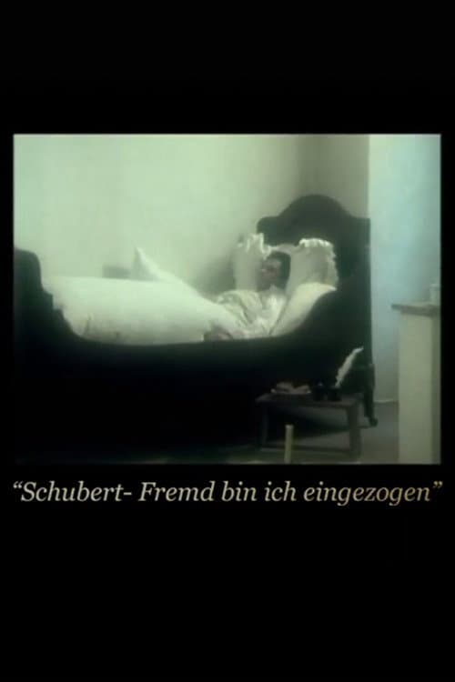 Fremd bin ich eingezogen (1978) poster